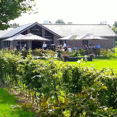 Campsite Camping Betuwe