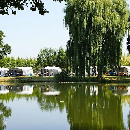 אתר קמפינג Camping Betuwe Kesteren